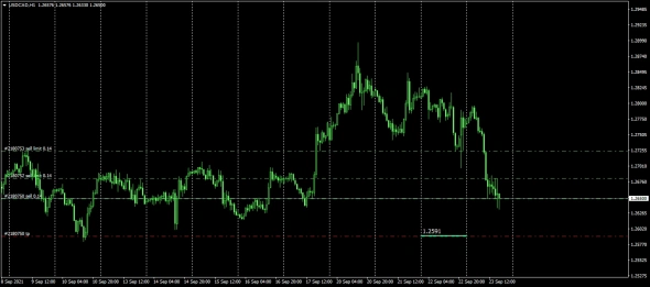 TOP Fx / Daily Insider