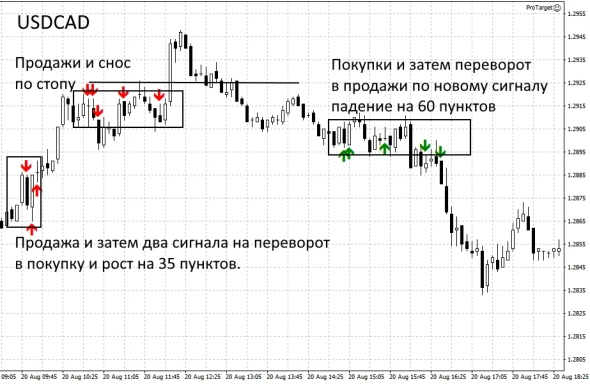 Результаты работы индикатора ProTarget за 20 августа