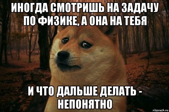 Все побросали свои дэмки и в политику ударились. Парадокс, это стало для них интересней, чем виртуальные "миллиарды".