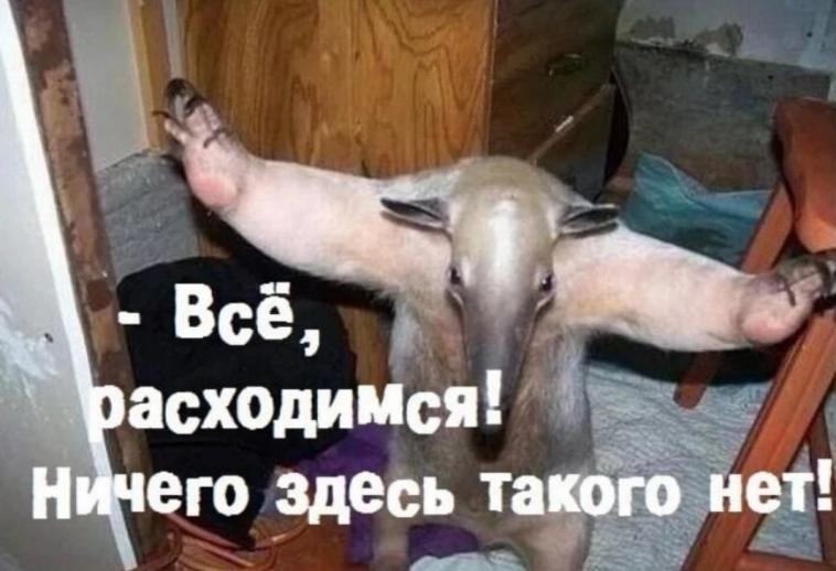 Что творится? Утренний обзор