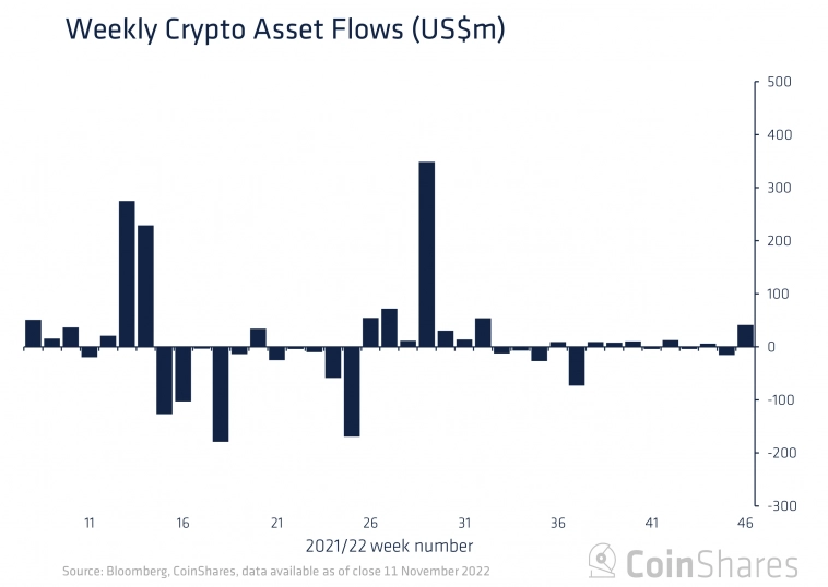 Все скупают Bitcoin: от креветок до институциональных инвесторов