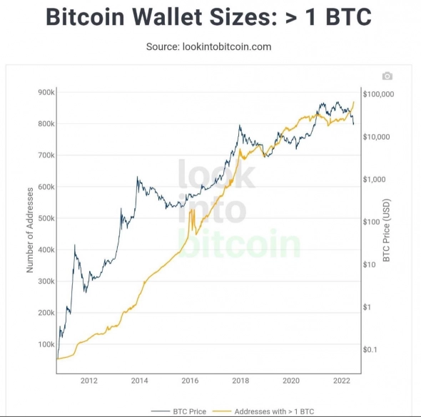 Биткойн ($ BTC) киты продолжают ‘агрессивно’ накапливать