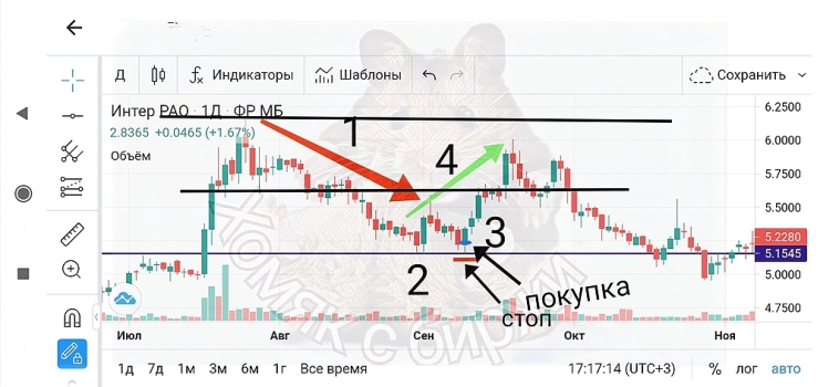 Обучение входа в позицию на падении простыми и понятными словами