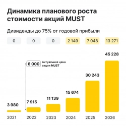 Онлайн-встреча MUST c потенциальными инвесторами и партнёрами