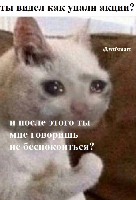 Мемы про биржу с котами