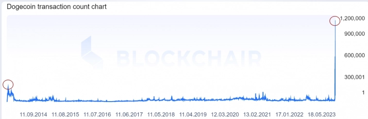 Ажиотаж в Dogecoin: число транзакций превысило Bitcoin и Ethereum