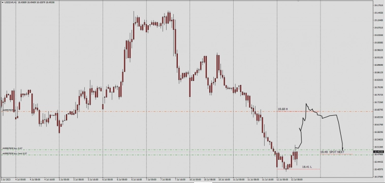 InterDealer Fx *USDZAR Fix 12.07.23 - Spot Next 13.07.23