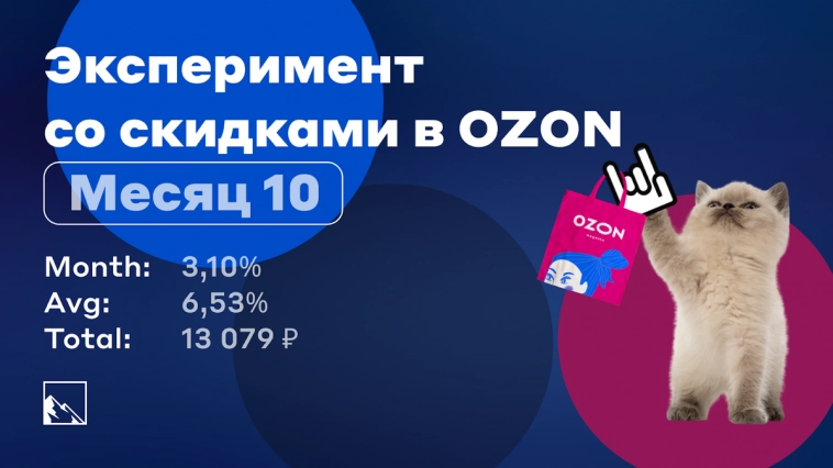 Эксперимент со скидками в Озоне. Месяц десятый