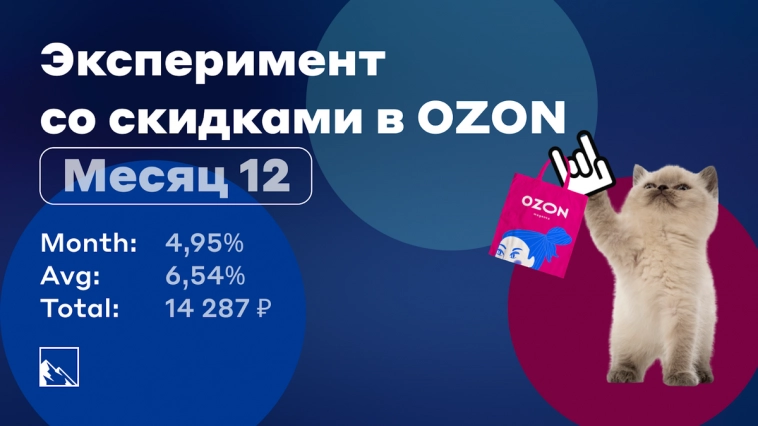 Эксперимент со скидками в Озоне. Месяц двенадцатый