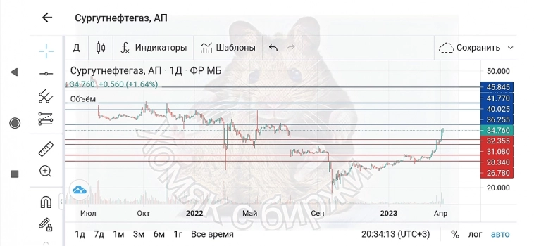 💡Сургутнефтегаз АП.