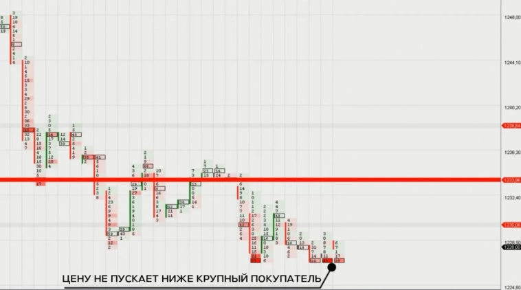 Завьялов Илья Николаевич о Footprint.