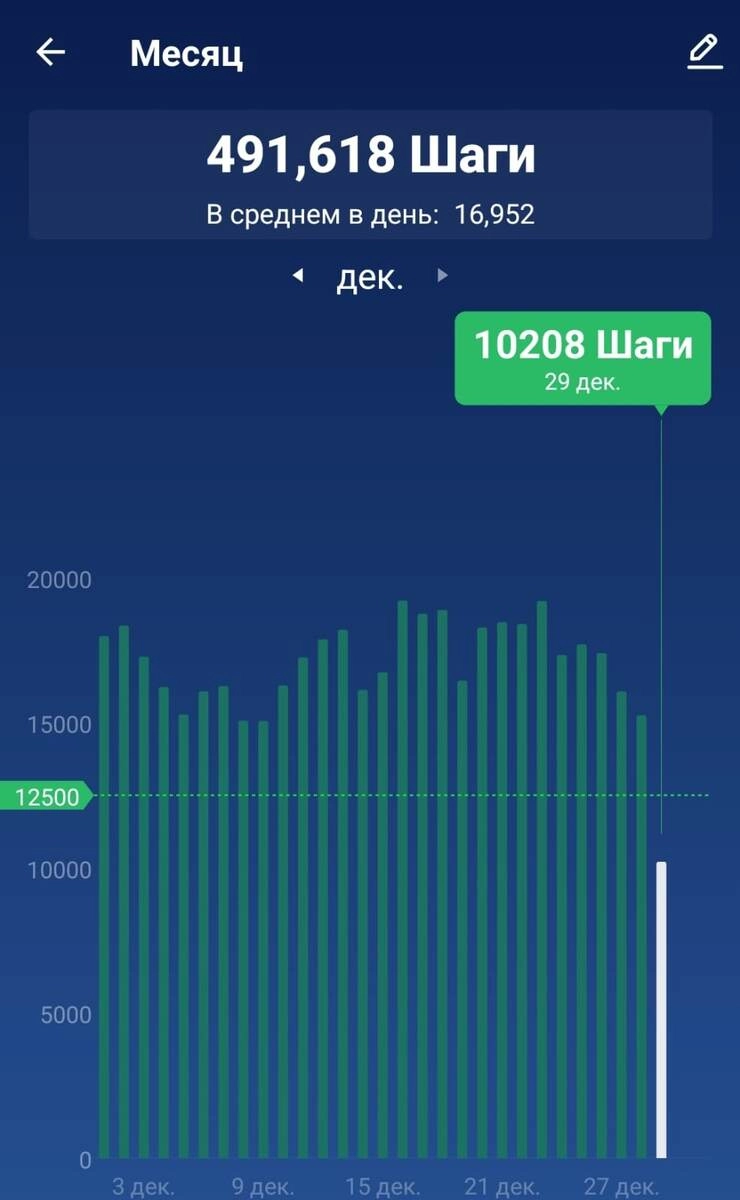 Итоговая статья за 2024 год. Ежемесячные инвестиции в ПФ Кубышка