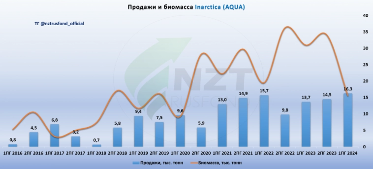 Inarctica (Русская Аквакультура) MOEX:AQUA отчет 1 ПГ 2024, крупные биологические потери и долгосрочные перспективы.