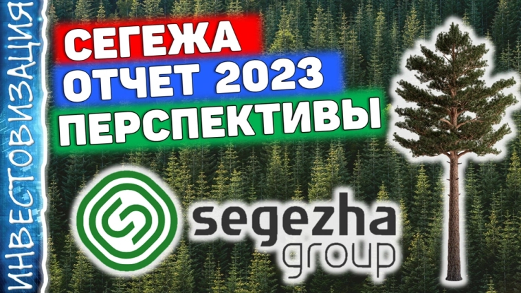 Сегежа (SGZH). Отчет за 2023г. Перспективы.