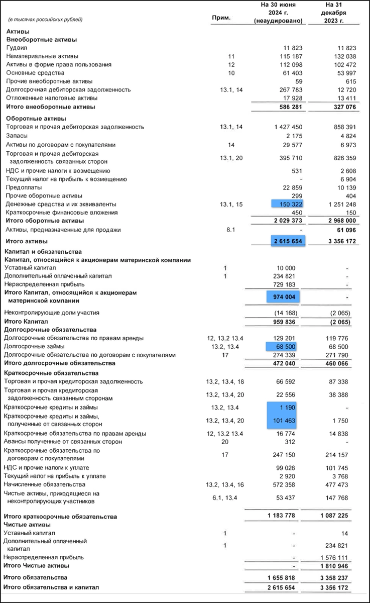 Аренадата (DATA). Стоит ли участвовать в IPO? Отчет 2Q 2024.