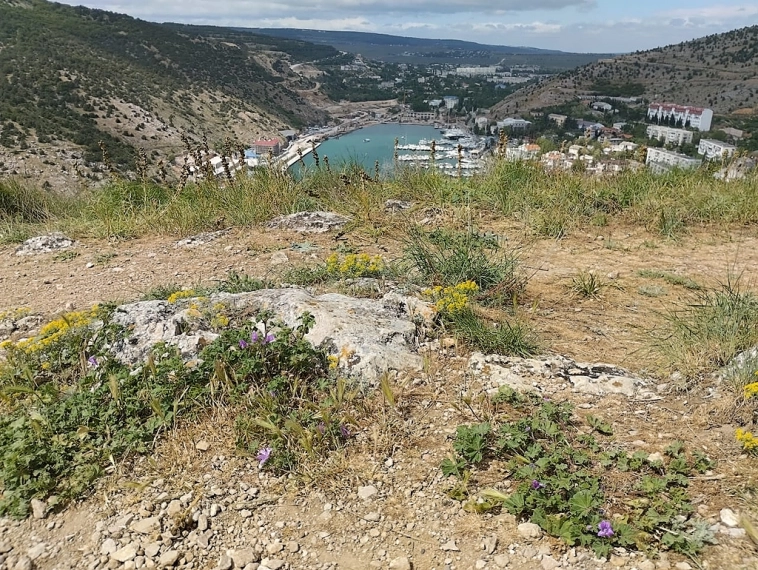 Весенний Крым, цветущий Севастополь
А также Алушта, Ялта , ай Петри / балаклава / Джанкой / Саки / Евпатория / Симферополь.