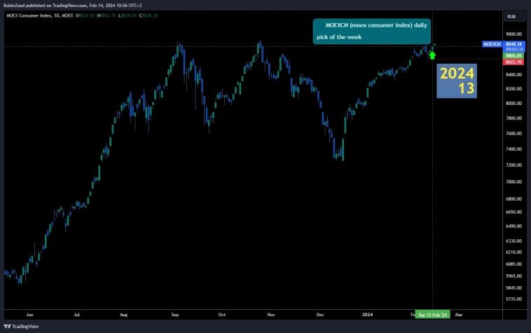 202413 MOEXCN moex consumer index