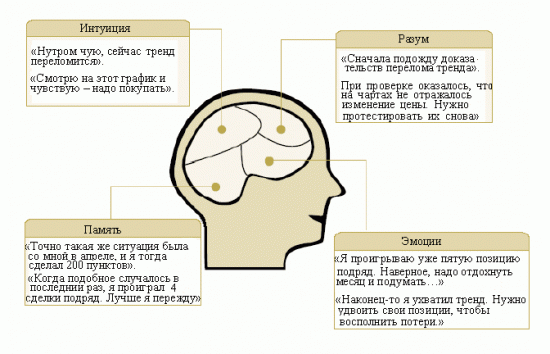 Мозг трейдера