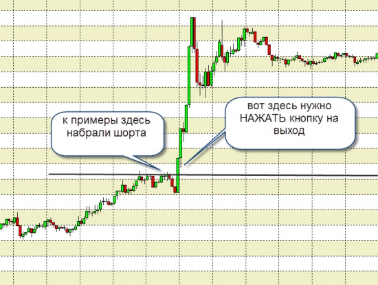 Стайтмент за апрель + про обучение!