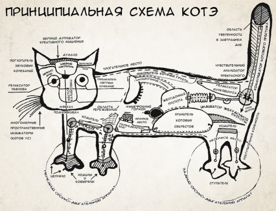 СБОР ПОДПИСЕЙ ЧТОБЫ БРИТАНСКИЙ КОТ ПИСАЛ НА СМАРТЛАБЕ!!