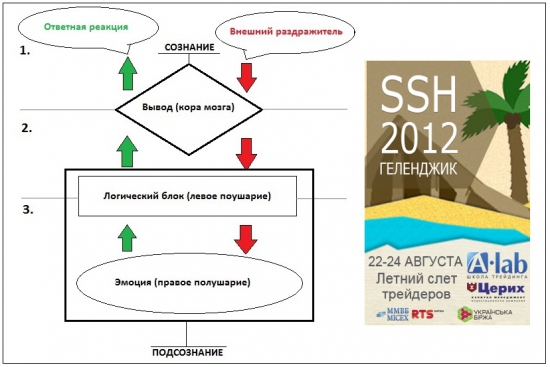 Психология трейдинга. Часть 1. Special for Smart-Lab