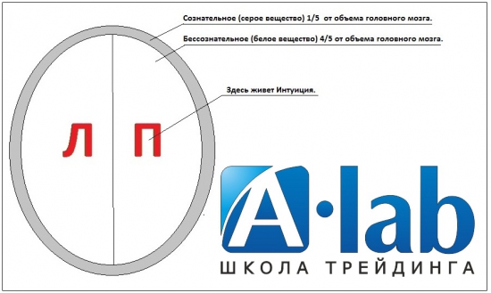 Психология трейдинга