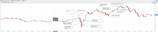 варю пельмени на кухне xcfd