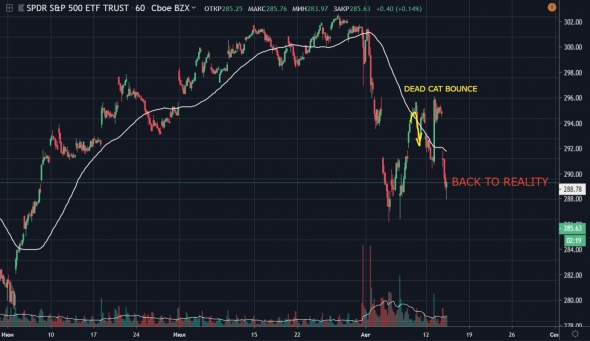 Отскок дохлой кошки на рынке акций