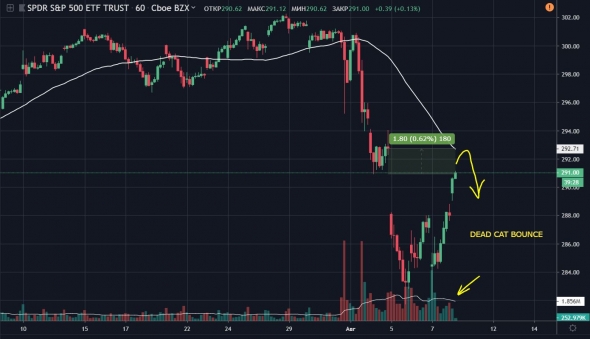 Отскок дохлой кошки на рынке акций
