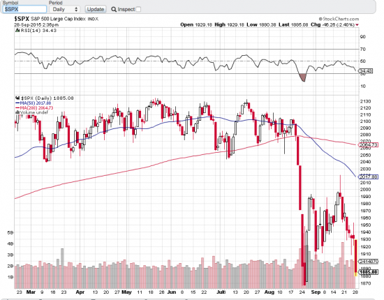 S&P 500