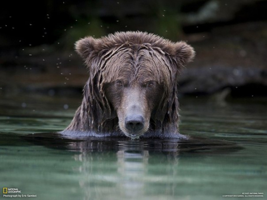 Начало, приготовились... фото.