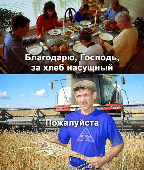 Что посеешь, то и пожнешь  )