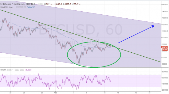 Bitcoin vs Oil