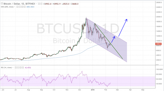 Bitcoin / US Dollar