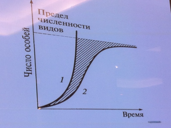 МЕЖДУНАРОДНАЯ БИЗНЕС-ВЫСТАВКА “ФИНАНСОВЫЙ СУПЕРМАРКЕТ”