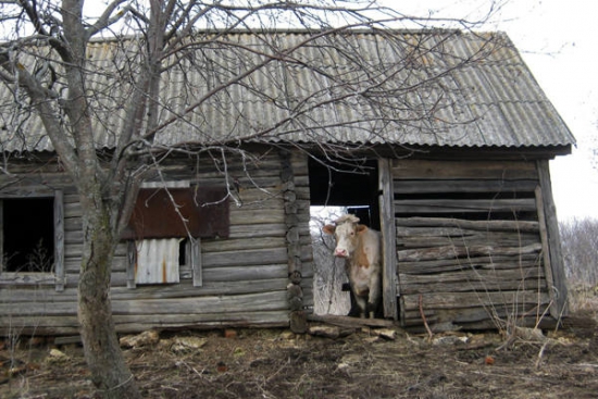 Импортозамещение в сельском хозяйстве