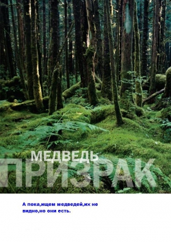 Кто же в итоге попадёт в ловушку, что ждать на российском рынке?