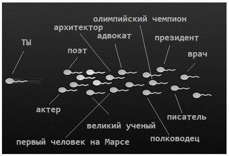 Закон пахоты: 10 000 часов и ты гений!