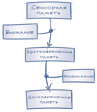 Развитие памяти по методикам спецслужб. Конспект. Упражнения. Тренировки. Часть 1.