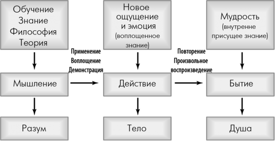 Сила подсознания или Как изменить жизнь за 4 недели". Глава 6. Три мозга: от мышления через действие к бытию