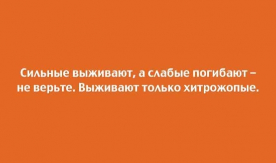 Империя должна умереть" Михаил Зыгарь. Глава: Роман с госзаказом.