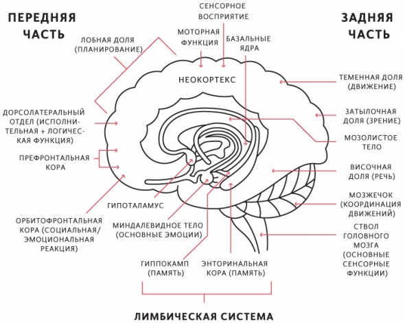 Часть 18. ≪Пять шагов≫ Часть III: Правильные люди. Абсолютная честность и предельная прозрачность. Осмысленная работа и значимые отношения. Ошибки – естественны