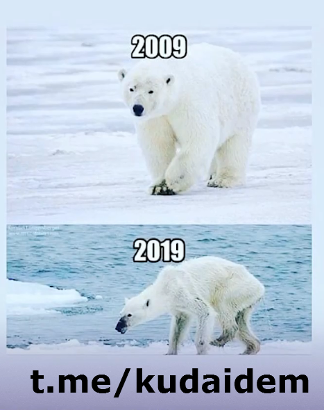 #10yearschallenge  Что изменилось в нашей стране и мире за 10 лет?