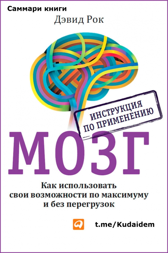 Саммари книги: Мозг. Инструкция по применению. Как использовать свои возможности по максимуму и без перегрузок