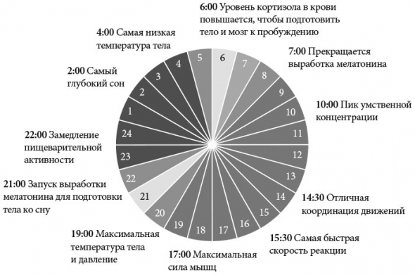 Саммари книги: Просто Космос. Практикум по Agile-жизни, наполненной смыслом и энергией. Часть 4. Глава 6. Сон и отдых