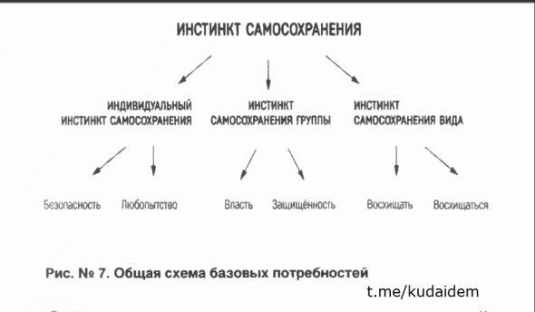 Красная таблетка-2. Вся правда об успехе Андрей Курпатов Саммари книги. Часть 6. Глава 2. Знаю и хочу. «Принцип доминанты» Три фундаментальные ошибки. Интоксикация гуманизмом