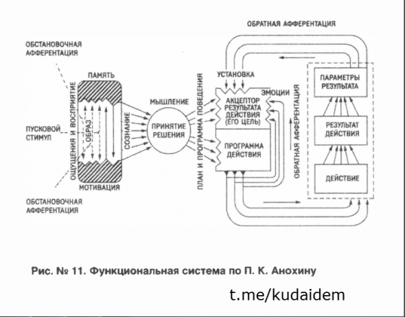 Будущему быть. Как захотеть? АКЦЕПТОР РЕЗУЛЬТАТА ДЕЙСТВИЯ. ПЕРЕДЕЛАЙТЕ РЕАЛЬНОСТЬ ПОД СЕБЯ. Конспект книги "Красная таблетка-2". Курпатов Часть 11