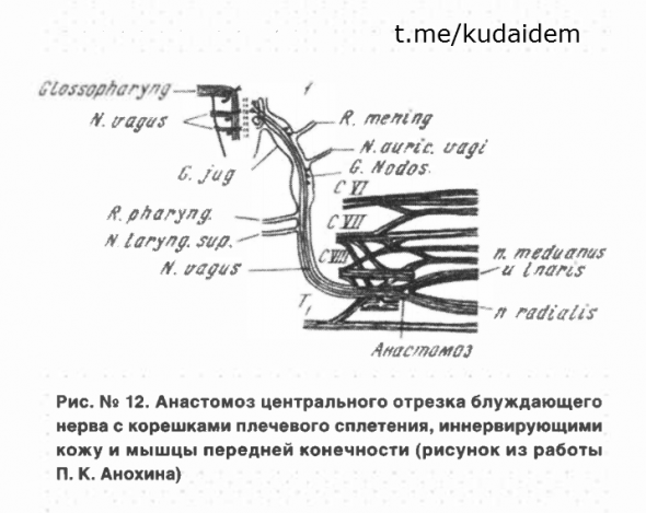 Будущему быть. Как захотеть? АКЦЕПТОР РЕЗУЛЬТАТА ДЕЙСТВИЯ. ПЕРЕДЕЛАЙТЕ РЕАЛЬНОСТЬ ПОД СЕБЯ. Конспект книги "Красная таблетка-2". Курпатов Часть 11