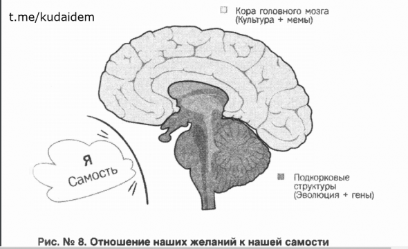 Красная таблетка-2  Видеосаммари. Часть 2