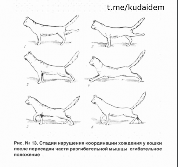 Красная Таблетка-2. Часть 4. Саммари книги. 2027 год - конец истории? Смысл труда. Дружба на работе